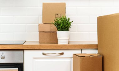 Çiçek saksısı ve karton kutular yeni mutfakta..