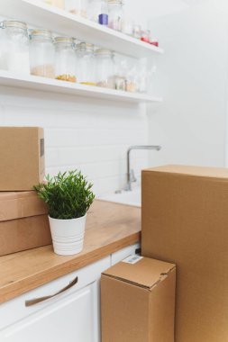 Çiçek saksısı ve karton kutular yeni mutfakta..