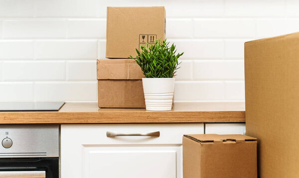 Цветочный горшок и картонные коробки на новой кухне.