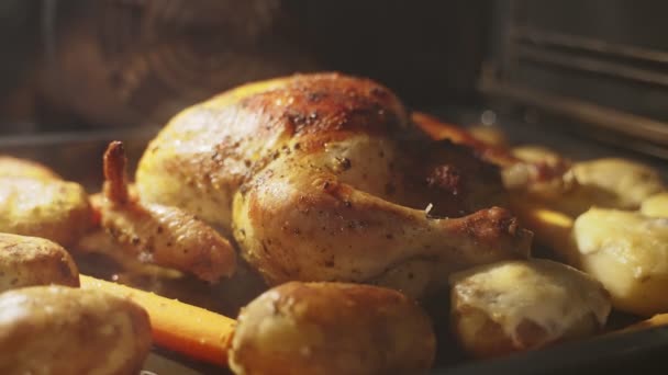 Oven Baked Chicken Potatoes Carrots — Stock Video