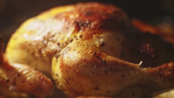 烤鸡肉配土豆和胡萝卜 — 图库视频影像
