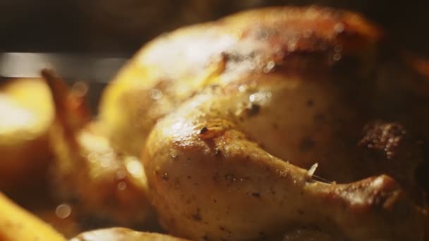 Ofengebackenes Hühnchen Mit Kartoffeln Und Karotten — Stockvideo