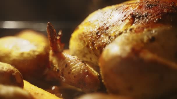 Pollo Forno Con Patate Carote — Video Stock