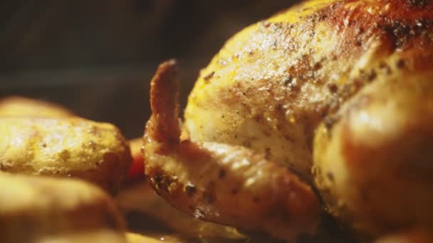 Sült Csirke Krumplival Répával — Stock videók