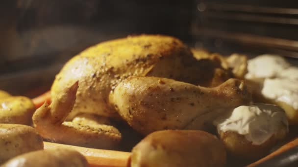 烤鸡肉和土豆在烤箱中的时间间隔拍摄 — 图库视频影像