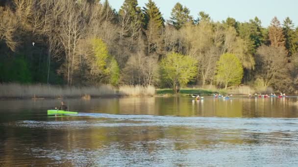 Kayakers Sailing Kayaks River — Stock Video