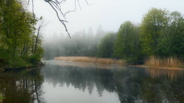 Güzel manzaralı sisli nehir sabah.