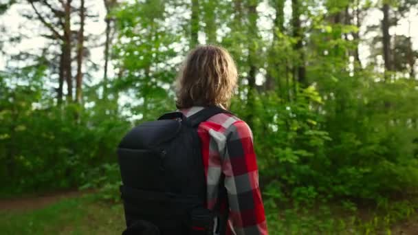 一个背着背包和太阳镜在树林里的男人弧形射击 — 图库视频影像