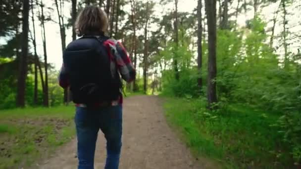 Homme Avec Sac Dos Marchant Dans Forêt — Video