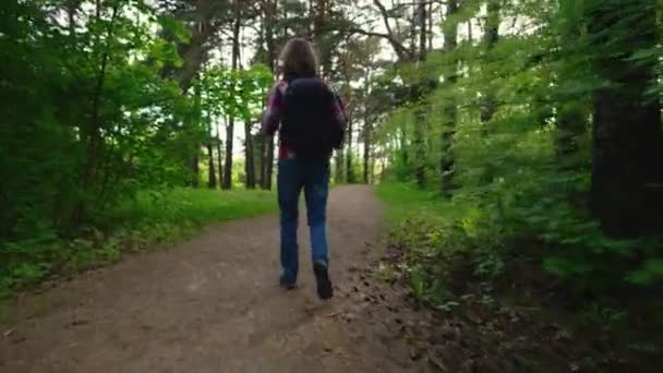 Hombre Con Mochila Caminando Por Bosque — Vídeo de stock