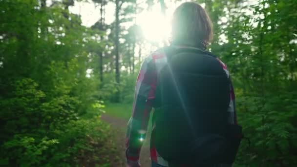 Hombre Con Mochila Caminando Por Bosque — Vídeo de stock