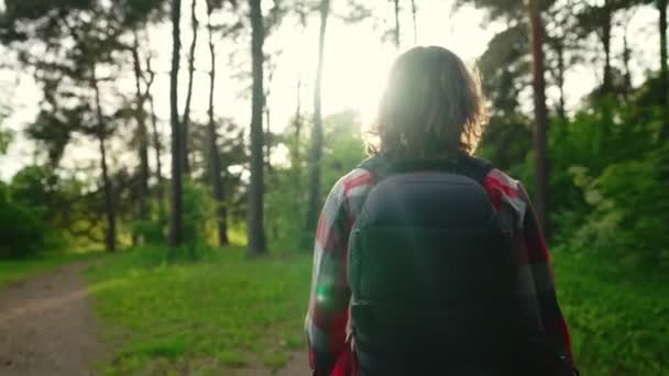 Hombre Con Mochila Caminando Por Bosque — Vídeos de Stock