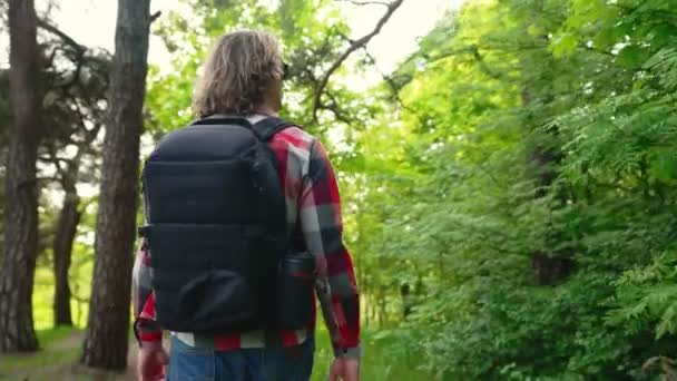 Hombre Con Mochila Caminando Por Bosque — Vídeos de Stock