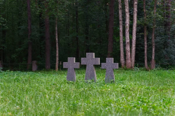 Tre Stenkors Kyrkogård Skogen — Stockfoto