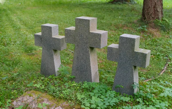 Três Cruzes Pedra Cemitério Floresta — Fotografia de Stock