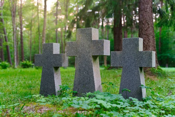 Tre Stenkors Kyrkogård Skogen — Stockfoto