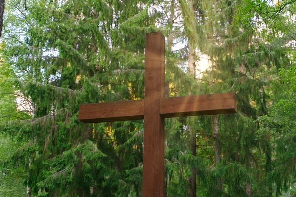 Holzkreuz Auf Einem Friedhof Wald — Stockfoto