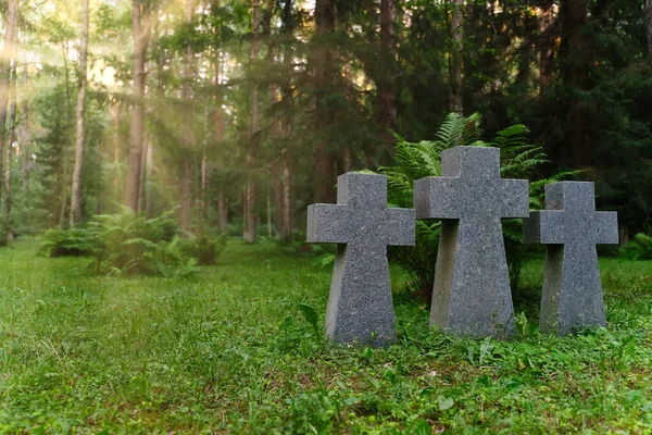 Tre Stenkors Kyrkogård Skogen — Stockfoto