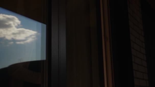 Женщина Выходит Балкон Бокалом Вина — стоковое видео