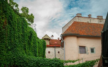 Şehir duvarı eski kasabadaki yeşilliklerle çevrili..