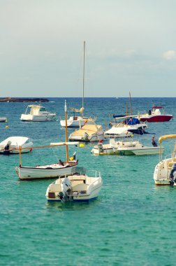 Çapa koyunda birçok yatlar.