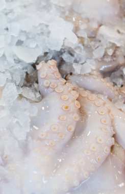 Balık pazarında dondurulmuş çiğ ahtapot.