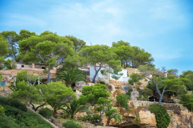 Tropikal apartman ağaçlar ile portresi.