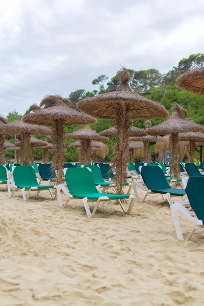 Viele Liegestühle am Strand. — Stockfoto