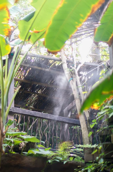 Portrait de maison en forêt tropicale humide . — Photo