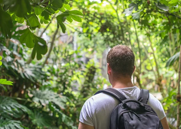 Tourist mit Rucksack im Dschungel. Raum für Ihren Text. — Stockfoto