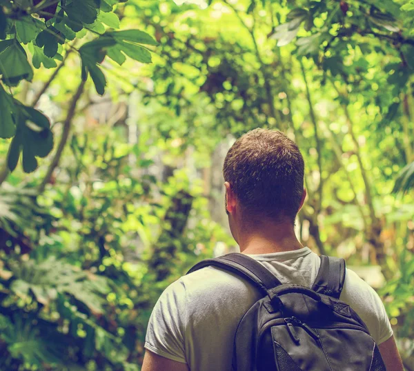 Touriste avec sac à dos dans la jungle. Effet vintage. Espace pour votre texte . — Photo