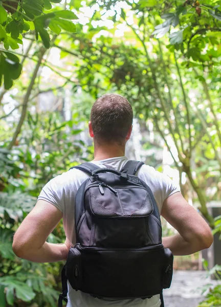 Turist ormanda sırt çantası ile. Senin metin için yer. — Stok fotoğraf