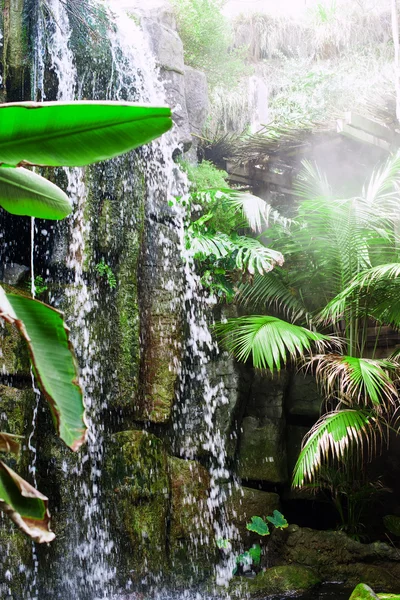 Прекрасний вид на водоспад у джунглях . — стокове фото