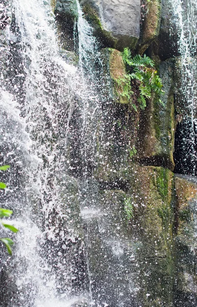 Прекрасний вид на водоспад у джунглях . — стокове фото