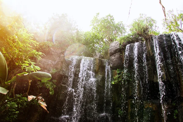Beautiful view of waterfall in jungle. — Stock Photo, Image