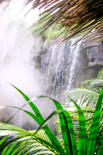 Beautiful view of waterfall in jungle. — Stock Photo, Image