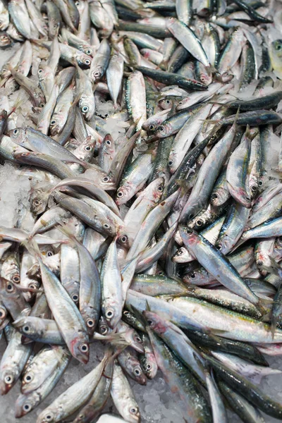 Plenty of frozen fish on the market. Vertical. — Stock Photo, Image