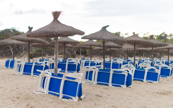 Viele Liegestühle am Strand. — Stockfoto