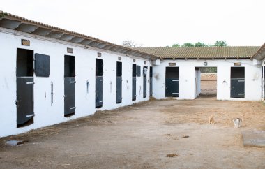 Atları ile modern ahır görünümünü.