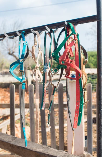 Horse bridles and other equipment in the stable. — Stock Photo, Image