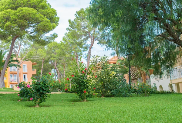 Fragmento de césped entre hoteles de lujo . — Foto de Stock