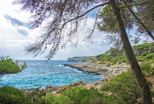 Bela costa tropical selvagem. Paisagem mediterrânica . — Fotografia de Stock