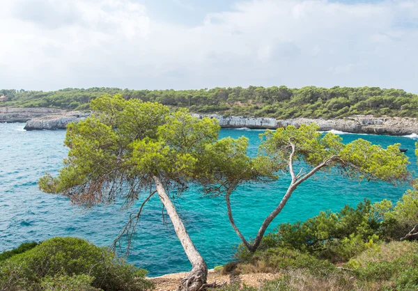 Beautiful wild tropical coast. Mediterranean sea landscape. — Stock Photo, Image