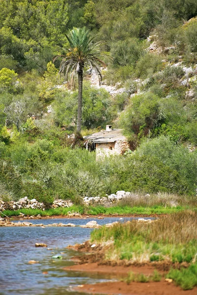 Vista da paisagem tropical com casa abandonada . — Fotografia de Stock