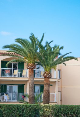 Tropikal apartman ağaçlar ile portresi.