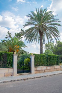 Yeşil bir çit telleri. Avlunun girişine.