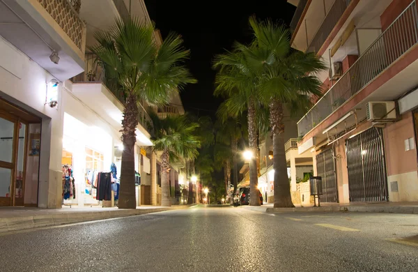 Straat met palmen nachts. — Stockfoto