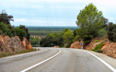 Yaz aylarında boş asfalt yol.