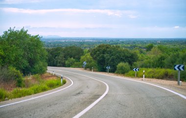 Yaz aylarında boş asfalt yol.