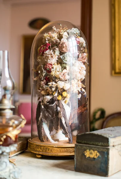 Herbarium mit getrockneten Blumen und Vögeln. — Stockfoto